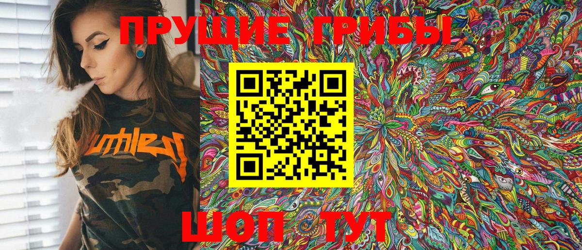 Железноводск  Галлюциногенные грибы Psilocybine cubensis  Вход с VPN 